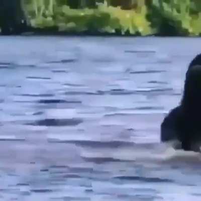 Nope! Fuck this&mdash; I'm out!
