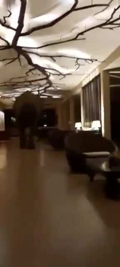 A wild elephant went into a Sri Lankan hotel and gently wandered around while poking stuff with his trunk