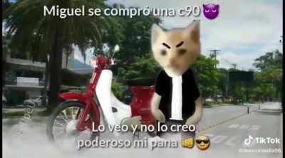 No miguel