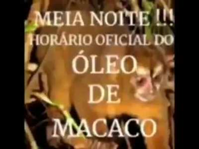 madeiras gostosa