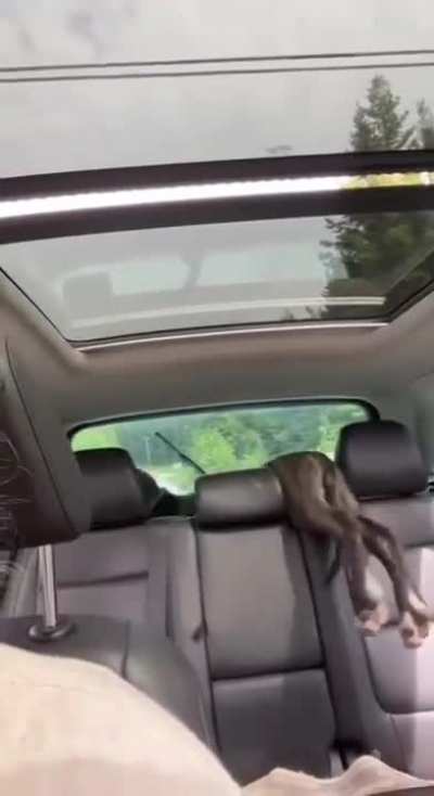 I meant to do that