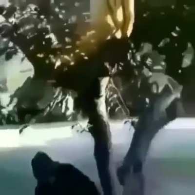 ⠀