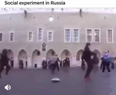 Moldy Experiment