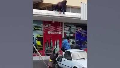 HMFT after catching &lsquo;em all!