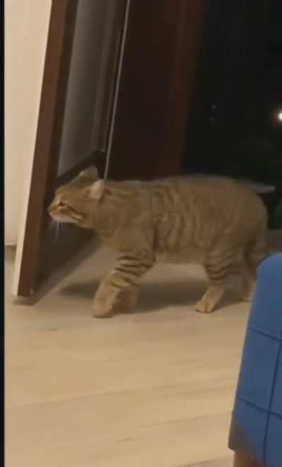 Stealth attack