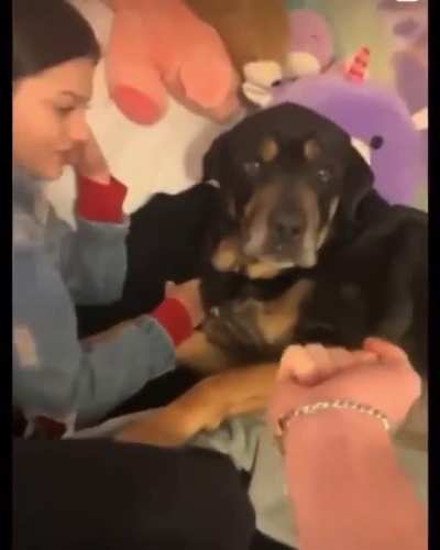 Versene k&ouml;pegin mamasini