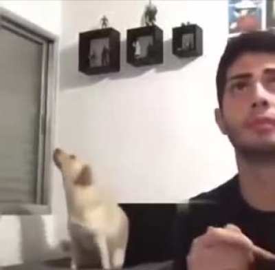 A reboladinha