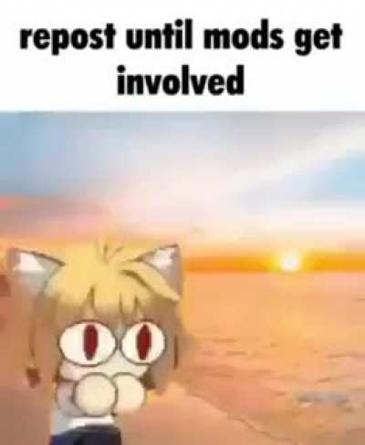 Repost