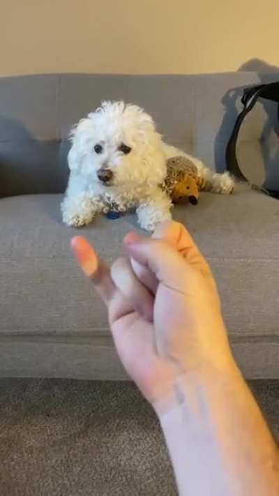 "How does he react to your other finger 😂
