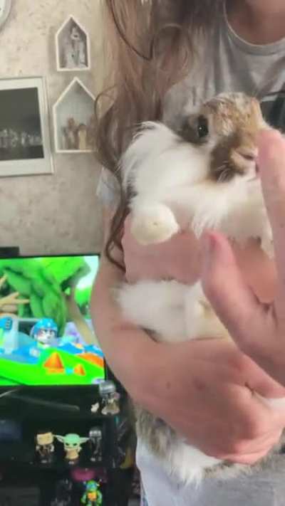 Booping her nose