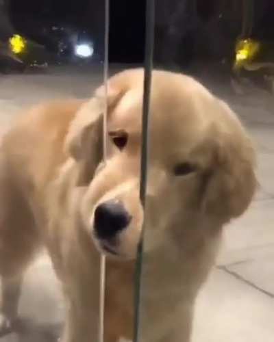Let me in!