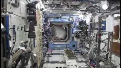 Astronaut smuggles a full gorilla suit onto ISS space station without telling anybody