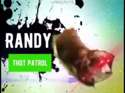 thank you randy