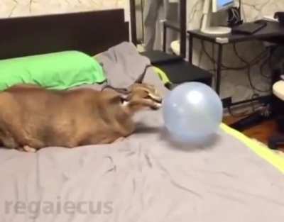 be careful with that balloon