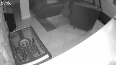 Right before my dog moves&hellip;.you can hear the &ldquo;Helllllo.&rdquo; This was 554am, and nobody else home. Y&rsquo;all think we&rsquo;re sharing our house with something else?? 😬
