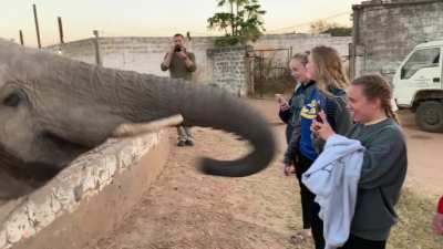To take a photo.