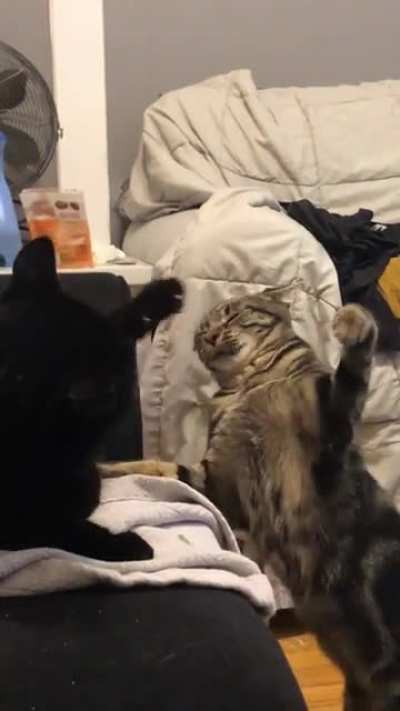 boxing match