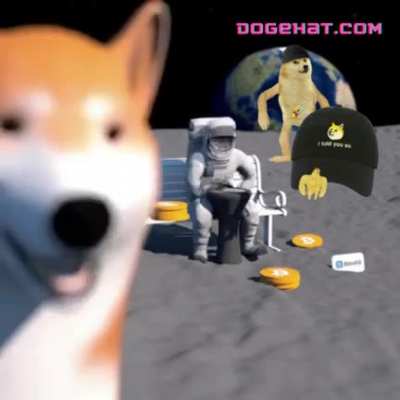 If a Doge could Doge a hat, how many hats could Dogehat Doge? So hat. So Doge &amp;lt;3