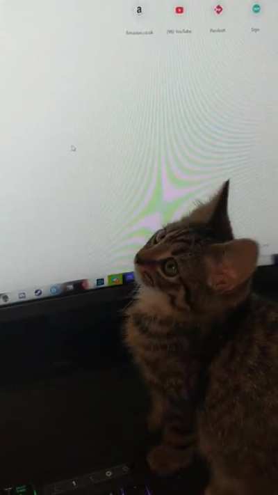 That&rsquo;s the wrong type of mouse&hellip;