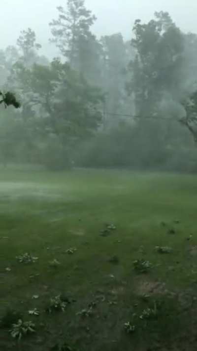Awesome heavy storm from last night in deep East Texas.