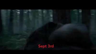 My last 3 weeks... as told by Leo...