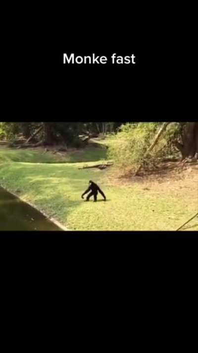Monke good