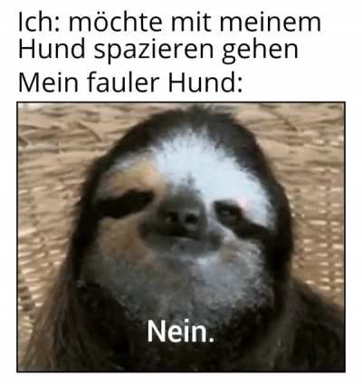 "Bla, Bla, Bla, Kannst ja gehen aber ich bleib da."