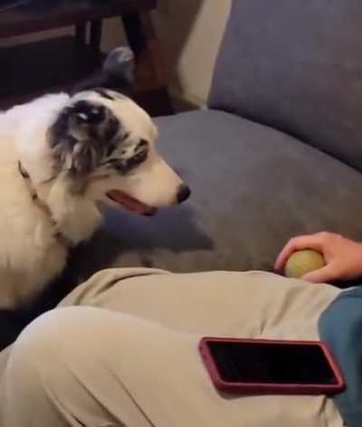 He'll throw the ball soon...