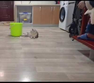 Wholesome moment!