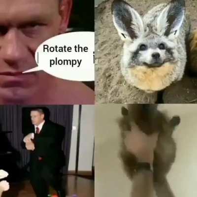 rule