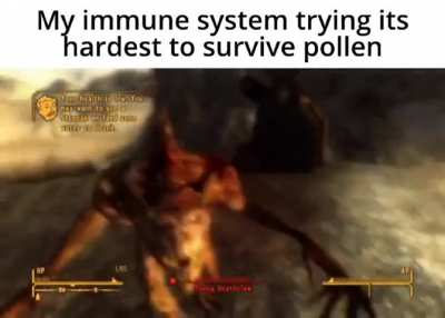 Le title