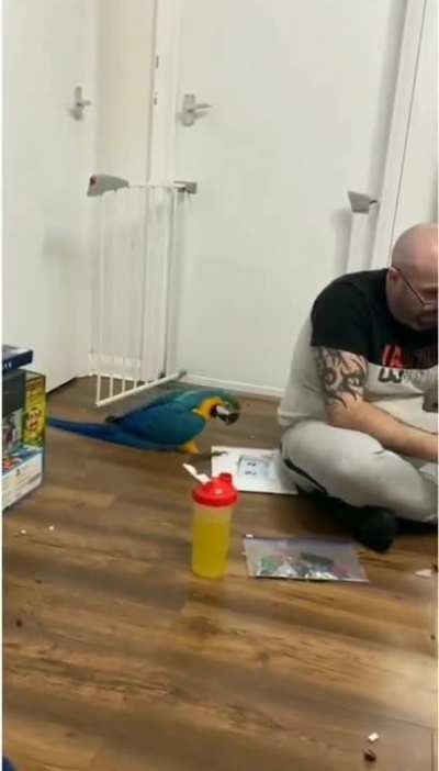 James Borb