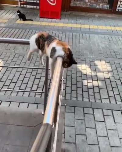 Catorail has broken down