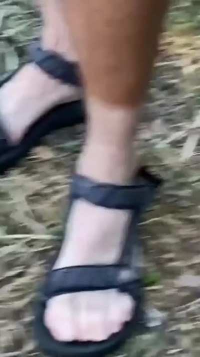 Deutsche Edelbr&auml;une