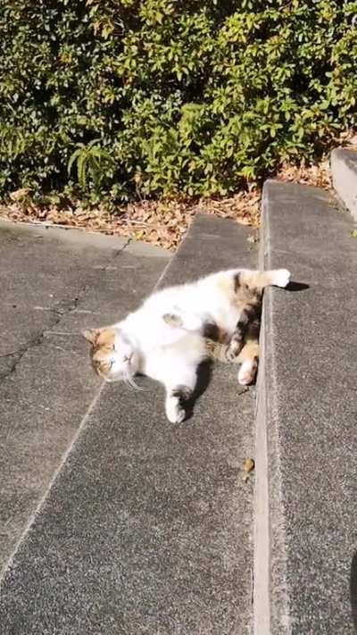 Liquid or slinky?
