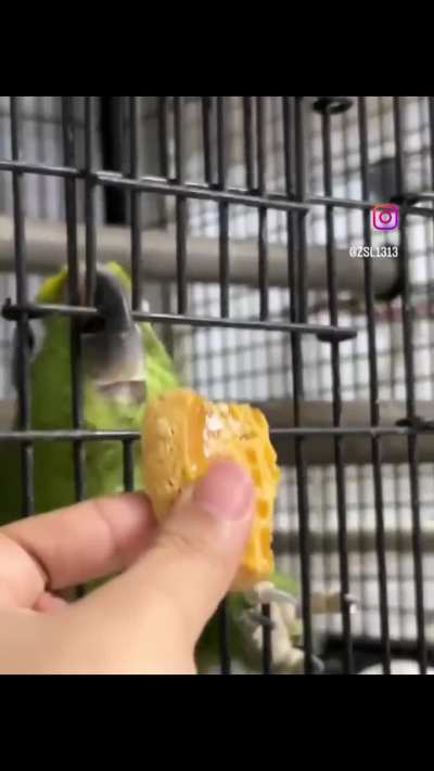 Maybe maybe maybe 
