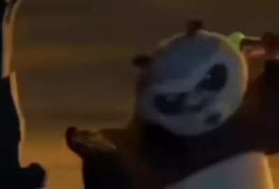 Moldy Panda