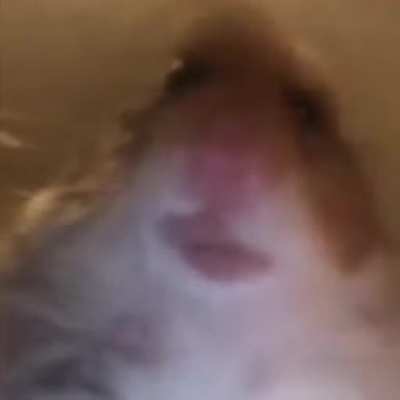 Blursed Dame Dame