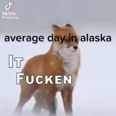 lol