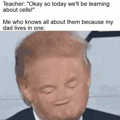 I'm a very bright student.
