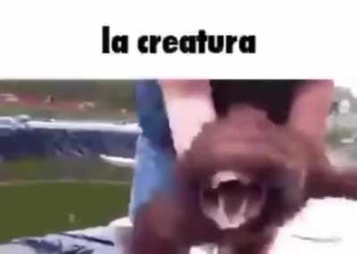 la creatura