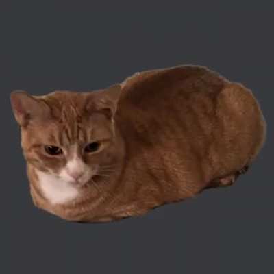 Catte