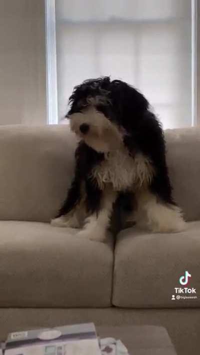 What?! I wasn&rsquo;t doing anything!