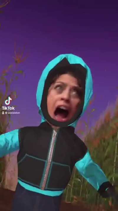 When the cgi budget runs out
