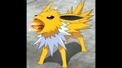 Jolteon loves burgers