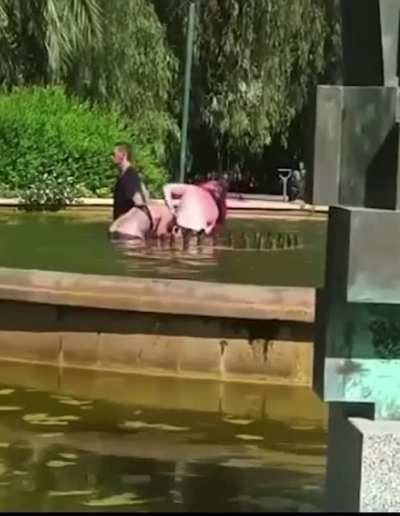 Man tries to drown a woman in a public fountain, bypassers beat him up and rescue her