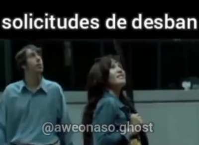Xd