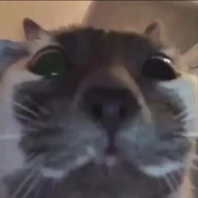 😐