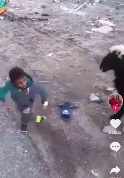 No pos ta cabr&oacute;n
