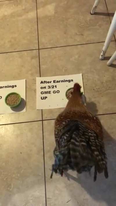 Eggon says &ldquo;GME go up&rdquo; after earnings. ⬆️